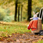 Ein Korbwagen mit weißem Griff steht auf einem Waldweg, in dem die KraftKids Babydecke Doppelkrepp Rot Herbstrot und ein blauer Plüschhase liegen. Der unscharfe Hintergrund zeigt Bäume und grünes Gras.
